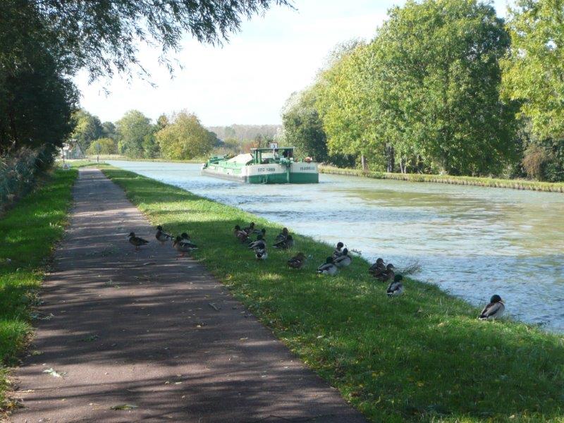 Canal de la Marne Au Rhine.jpg